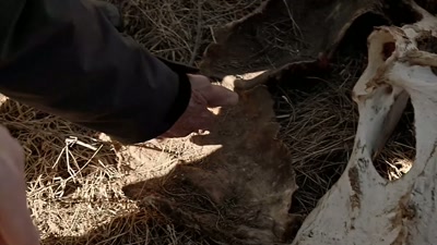 - Right.
- But then you notice down here - Beyond Skinwalker Ranch