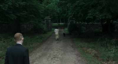 Right. Come on,
gyp. That's it. - The Little Stranger