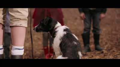 - Right, Dog?
- [whines] - Good Omens