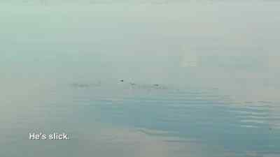 Right here. - Swamp People