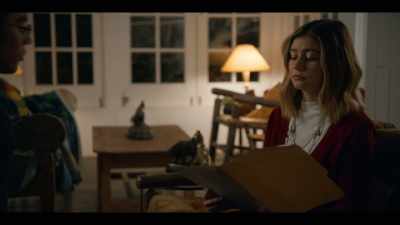 Right here, if you could draw
your attention to the first page. - American Vandal