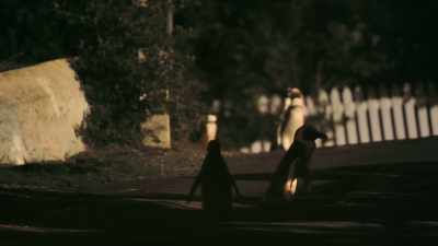 Right into the dreaded Car Park Gang. - Penguin Town