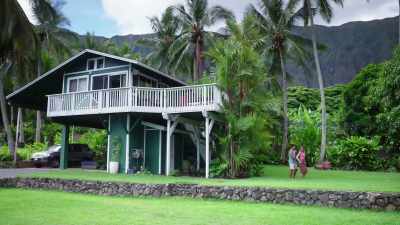 Right, left. Yeah. Right. Yeah. - Romance in Hawaii