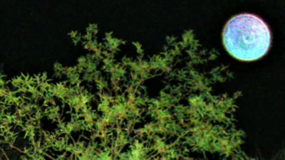 - Right.
- Light orbs, - Beyond Skinwalker Ranch