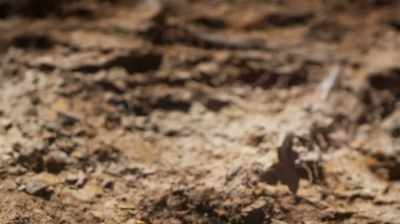 RIGHT NEXT TO THAT BONE
THAT NATE JUST UNCOVERED, - Dino Hunters