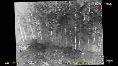 Right now we don't have
any movements. - Expedition Bigfoot
