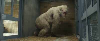 Right. Okay, Kate, I get all that, - Rampage