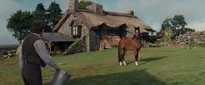 Right. Let’s make a start then. - War Horse