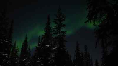 Right there. Look how they're
dancing. - The Last Alaskans
