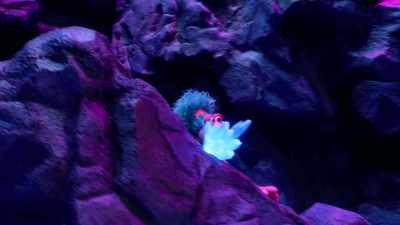 Right. This is the right way. - Fraggle Rock: Back to the Rock