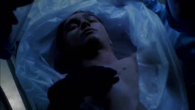 Right ventricle, left atria. - NCIS