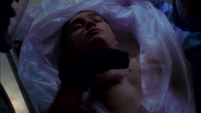 Right ventricle, left atria. - NCIS