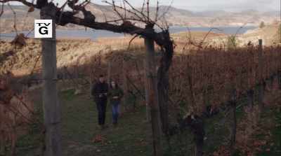 Right, which was
already pretty long - Valentine in the Vineyard