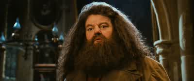 Right. Well, I'II... - I'll just wait outside, then. - Yes. - Harry Potter and the Chamber of Secrets