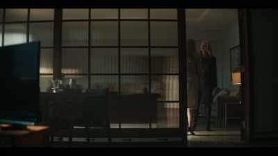 Right. What good is
an Alaskan wilderness - Y: The Last Man