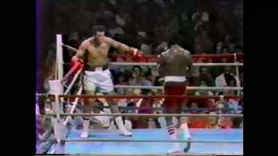 Right before your eye
is a miracle, a miracle. - In Search of Greatness