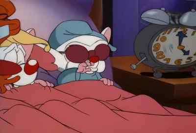 [RING] - Pinky and the Brain