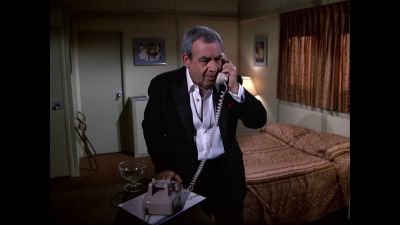 [ Ringing ] - The Love Boat
