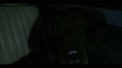 RINKA WHINES
Are they aggressive, Great Danes? - A Very English Scandal
