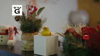 RIP-FIXES-SYNC
by VaVooM - Sense, Sensibility & Snowmen
