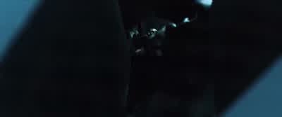 Rise and fucking shine, bitch. - Law Abiding Citizen