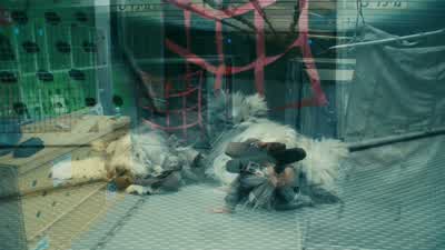 Rise and shine, guys. - You Don't Mess with the Zohan