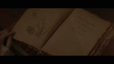 - Rise.
- Cinderella as the moon guides
your way. - Cinderella's Curse