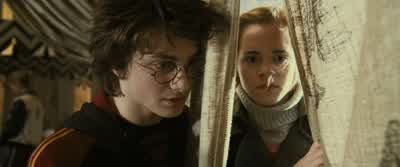 RITA: Young love. - Harry Potter and the Goblet of Fire