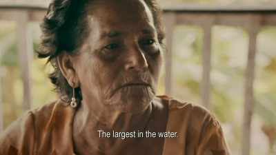 Rivas: SHE SAID
THEY CALL IT YACUMAMA - Expedition Mungo