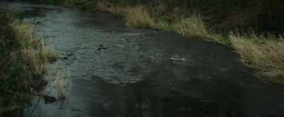 (river babbling)
(birds chirping) - Sunrise