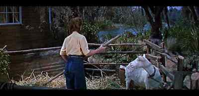 River's rising.
Look at it, Nan. - Tammy and the Bachelor