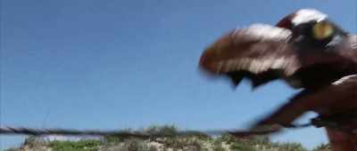 (ROAR!) - Cowgirls vs  Pterodactyls