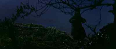 [roaring] - King Kong vs  Godzilla