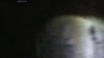 (roaring) - The Fear Footage