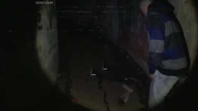(roaring) - The Fear Footage