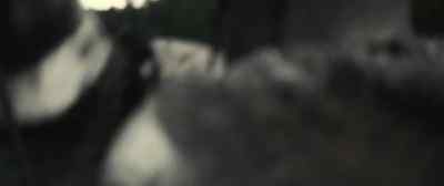 [roars] - The King