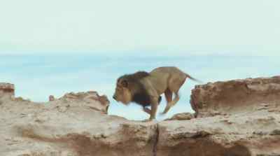 [roars] - Samson and Delilah