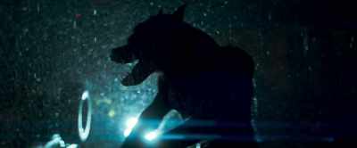 [roars] - Werewolves