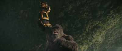 [roars] - Godzilla x Kong: The New Empire