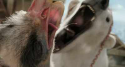 (roars) - Dolittle