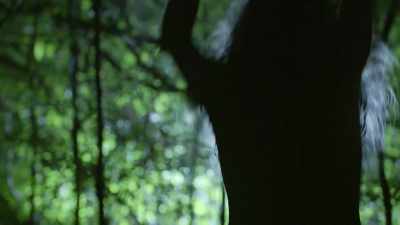 [ Roars ] - True Terror with Robert Englund