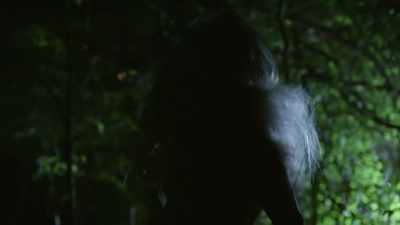 [ Roars ] - True Terror with Robert Englund