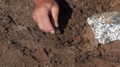 [ ROARS ] - Dino Hunters