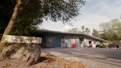 (ROARS) - Magic of Disney's Animal Kingdom