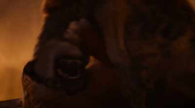 (ROARS) - The Lion King