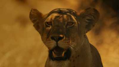 ROARS - Serengeti