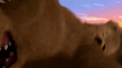 [roars] - Alpha & Omega: Journey to Bear Kingdom
