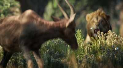 - (ROARS)
- (SCREAMS) - The Lion King