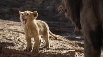 (ROARS SOFTLY) - The Lion King