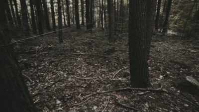 ROB: Guy in the end had
a roll of string - Missing 411: The Hunted